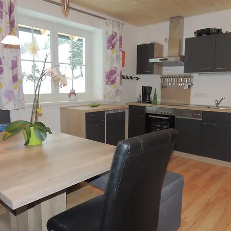 Appartments Rindisplatzl * שלאדמינג