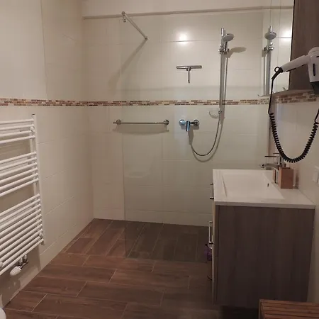 Appartments Rindisplatzl מלון *